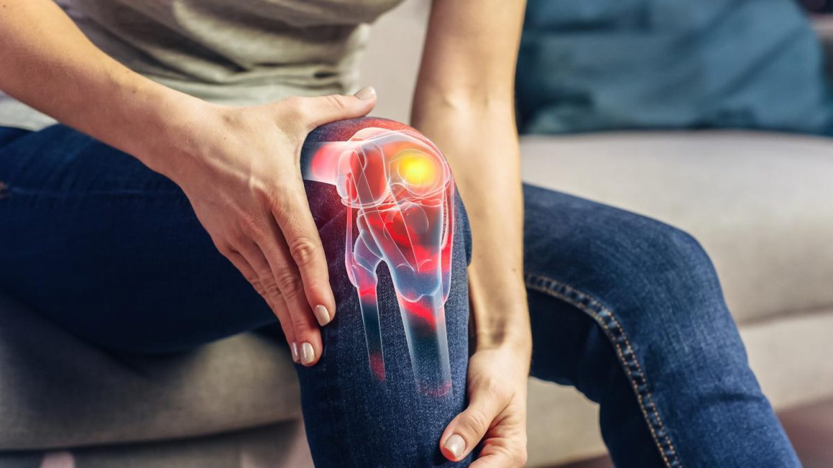The anatomy of the knee